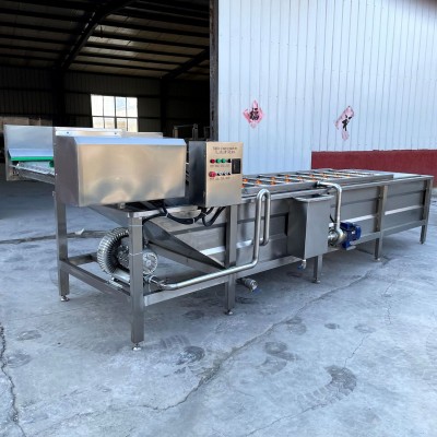 果蔬气泡清洗加工设备 油菜气泡清洗机 气泡清洗机 水果蔬菜清洗