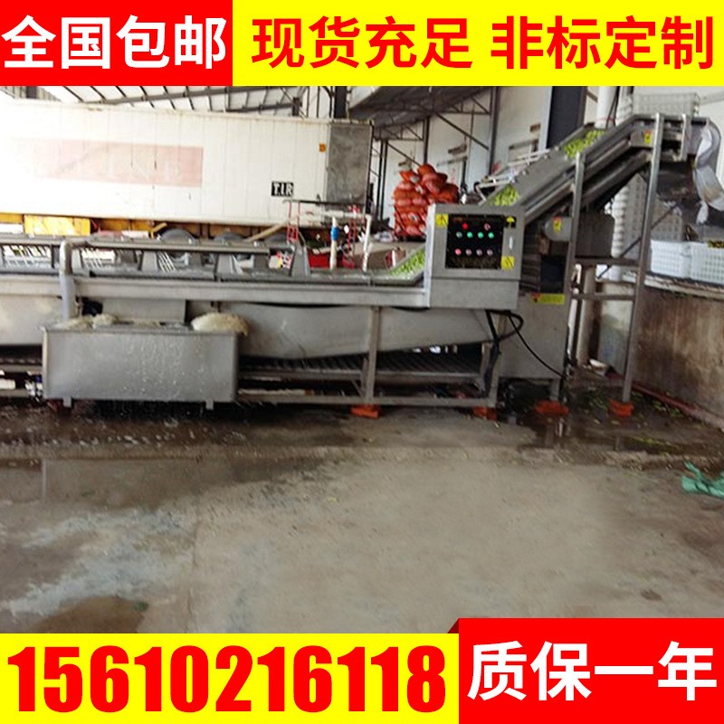 毛豆去杂清洗机 红枣高压清洗机 气泡式翻滚清洗设备 果蔬清洗机图3