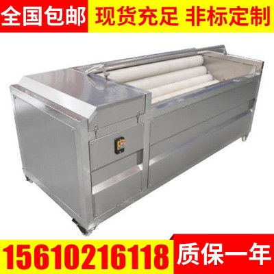 胡萝卜土豆清洗机 毛辊清洗机 果蔬去皮清洗机 定制毛辊清洗机