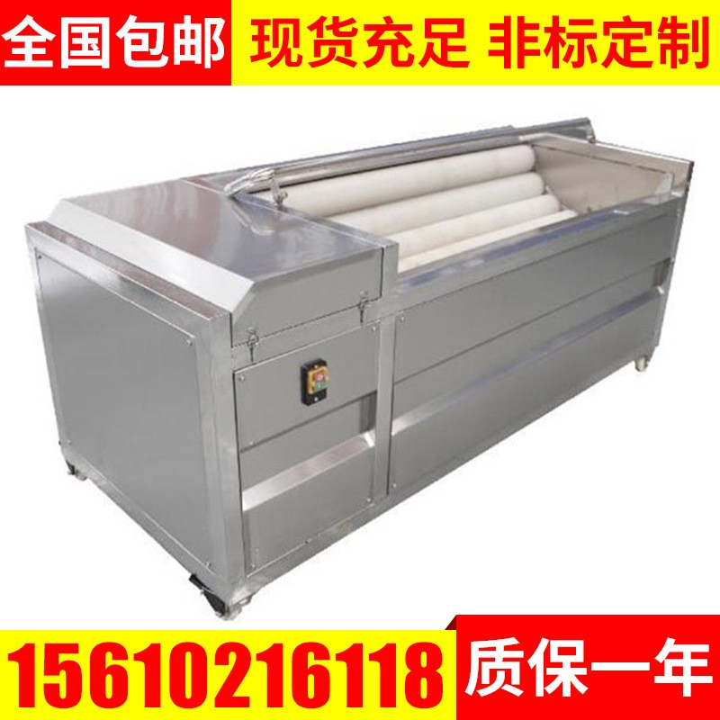 胡萝卜土豆清洗机 毛辊清洗机 果蔬去皮清洗机 定制毛辊清洗机图4