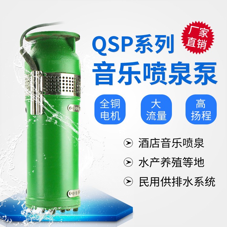 QSP铸铁喷泉泵不锈钢 小区景观音乐喷泉潜水泵QSP喷泉专 用潜水泵图4