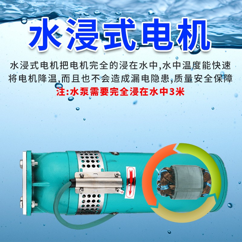 QSP铸铁喷泉泵不锈钢 小区景观音乐喷泉潜水泵QSP喷泉专 用潜水泵图5