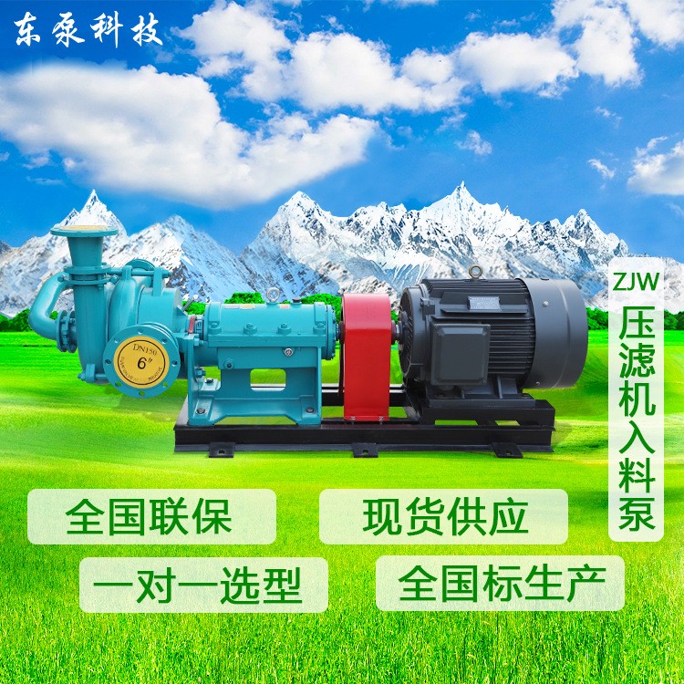 山东东泵 卧式ZJW 现货供应 压滤机入料泵杂质泵污泥处理泵图2