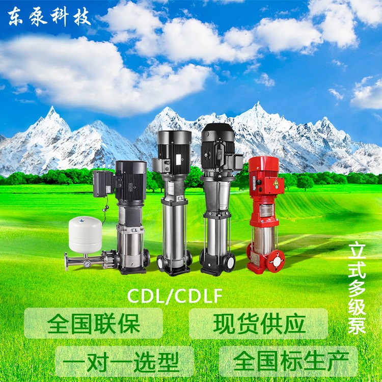 山东东泵 多级稳压泵不锈钢加压泵 厂家直供立式多级泵高层供水泵图2