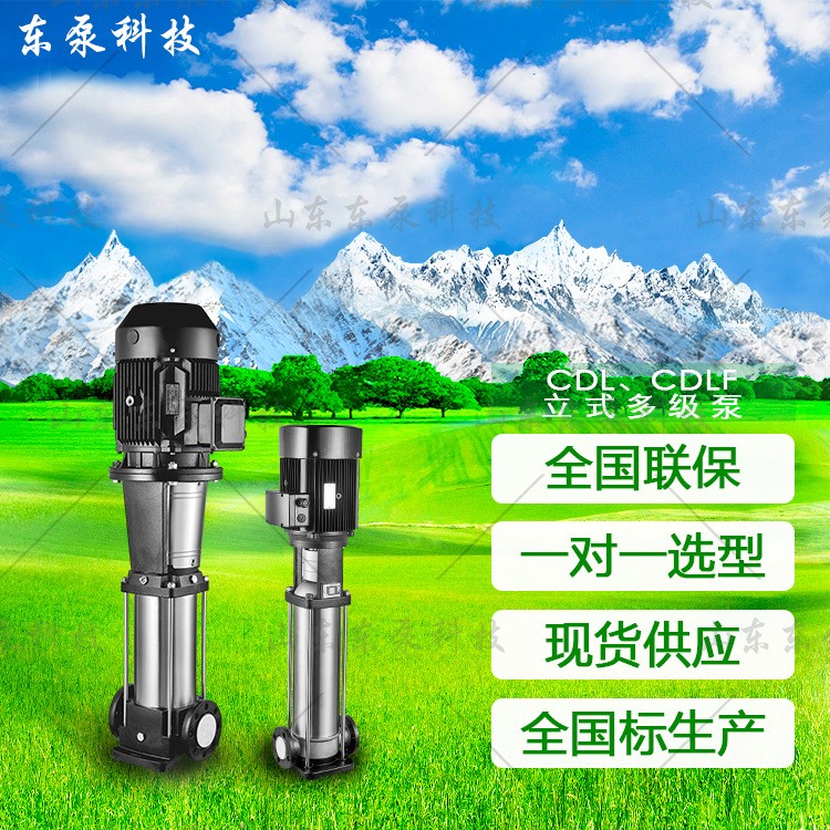 山东东泵 多级稳压泵不锈钢加压泵 厂家直供立式多级泵高层供水泵图5