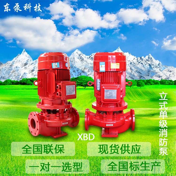 山东东泵 电动单级单吸给水泵 XBD立式消防泵3CF消火栓喷淋泵图3