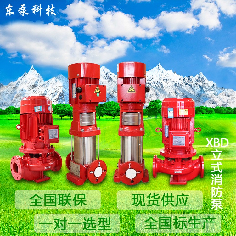 山东东泵 电动单级单吸给水泵 XBD立式消防泵3CF消火栓喷淋泵