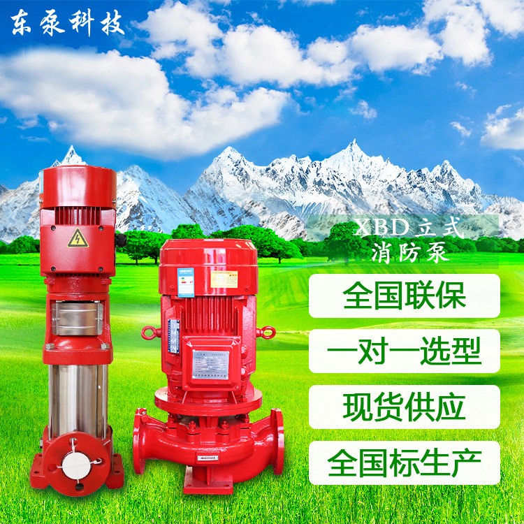 山东东泵 电动单级单吸给水泵 XBD立式消防泵3CF消火栓喷淋泵图4