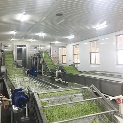 全自动果蔬清洗机大型商用气泡清洗线玉米蔬菜全自动清洗线厂家