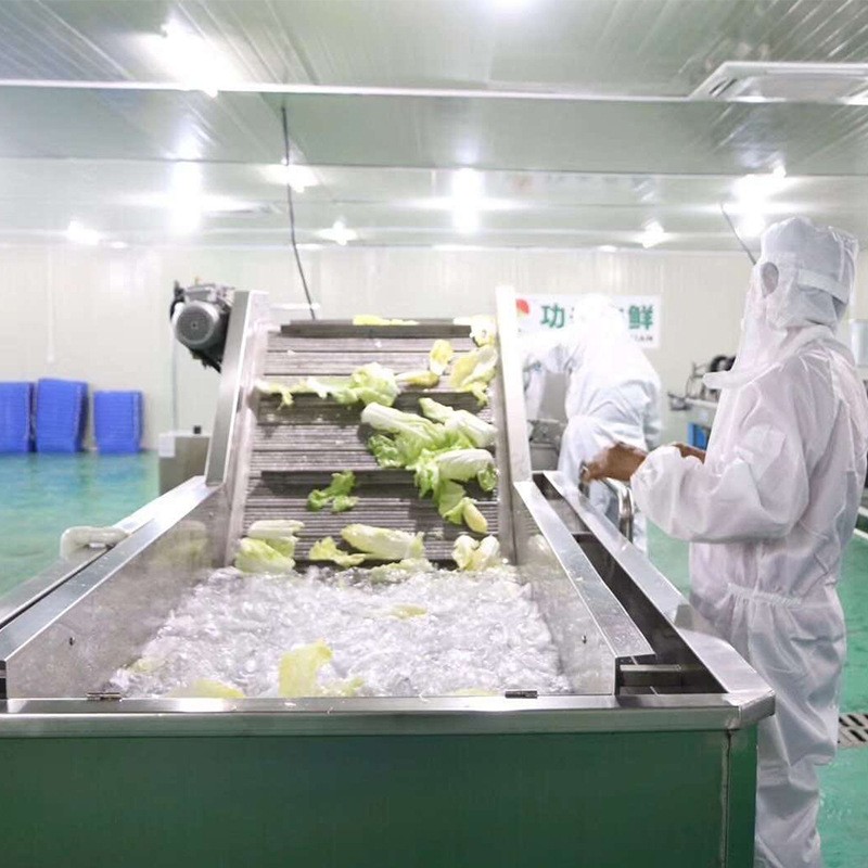 全自动净菜清洗设备洗菜机商用果蔬气泡清洗机 海鲜小龙虾清洗机图3