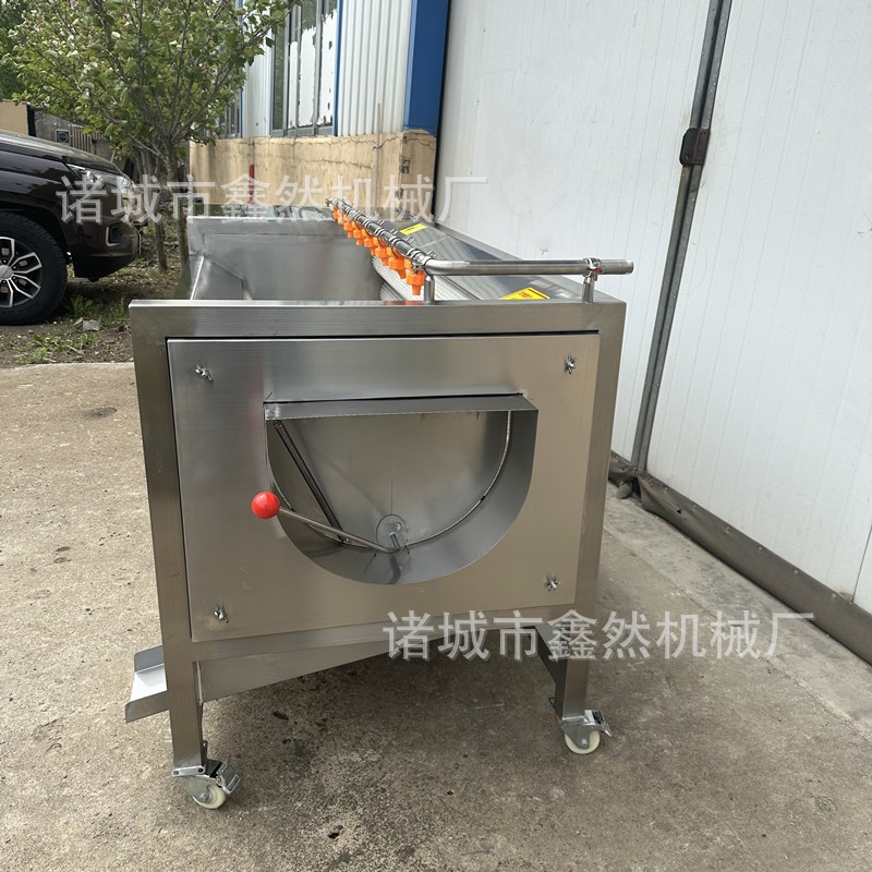 全自动土豆去皮清洗机胡萝卜毛辊清洗设备莲藕去皮清洗机图2
