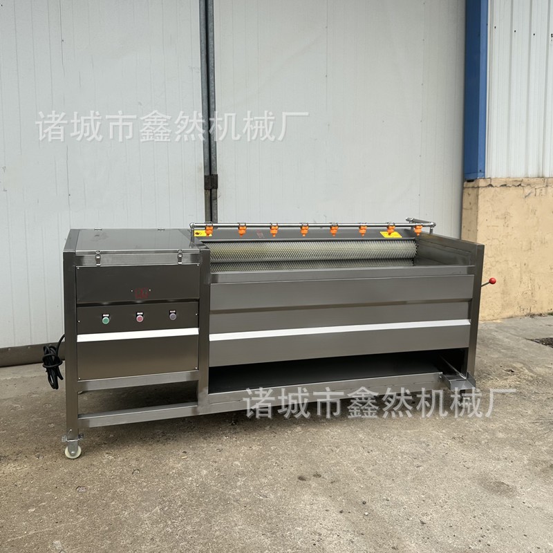 全自动土豆去皮清洗机胡萝卜毛辊清洗设备莲藕去皮清洗机图3