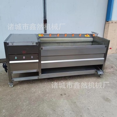 全自动土豆去皮清洗机胡萝卜毛辊清洗设备莲藕去皮清洗机
