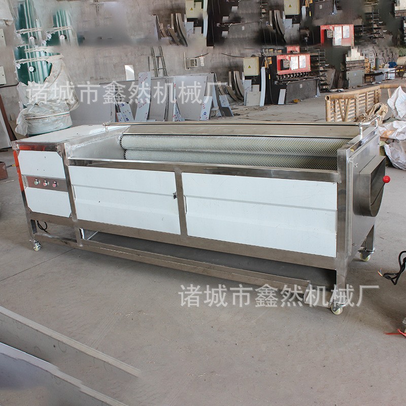 厂家供应 土豆 红薯 大姜 马蹄 猪蹄 猪头 毛刷清洗机不锈钢材图4