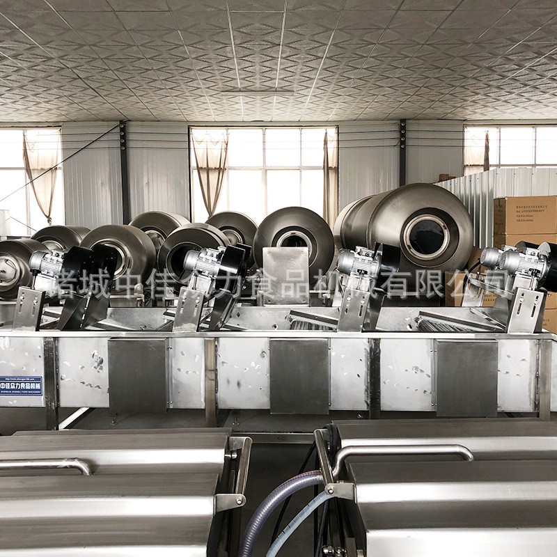 新品蔬菜瓜果 根茎类蔬菜气泡清洗机 清洗农药残留泥渍污渍图3