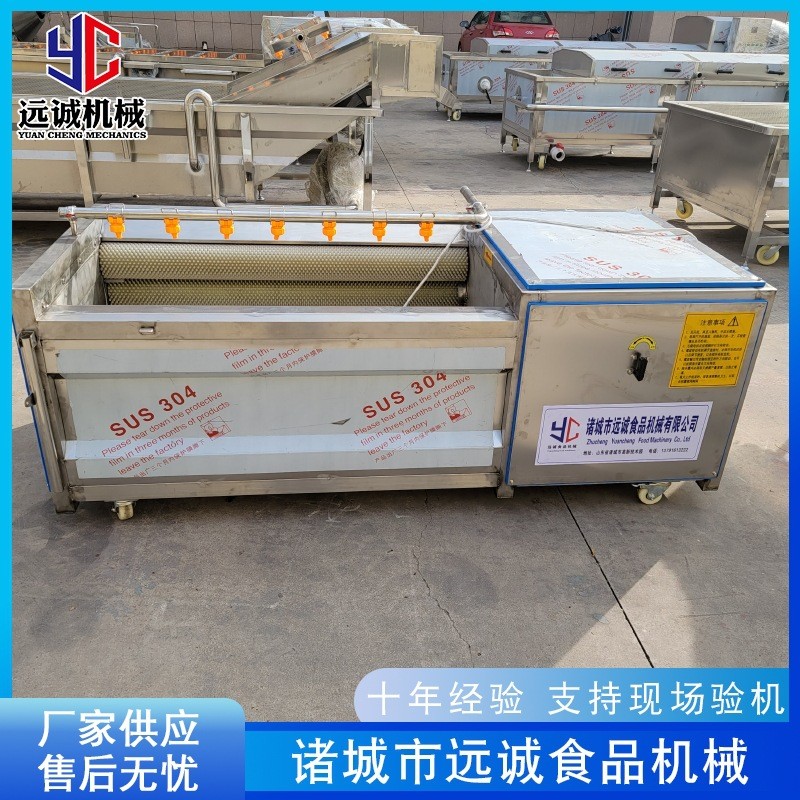 供应姜不辣紫薯去皮机 海螺毛刷清洗机 全自动毛辊清洗机设备图4