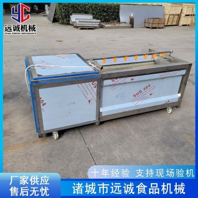 胡萝卜毛辊去皮机 全自动毛刷去皮机 土豆海蛎子毛刷清洗机设备