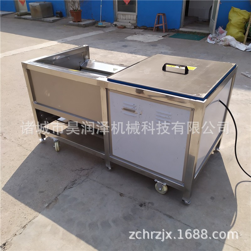 厂家销售 叶菜类气泡清洗机 根据产量定做 来电报价 质量保证图4