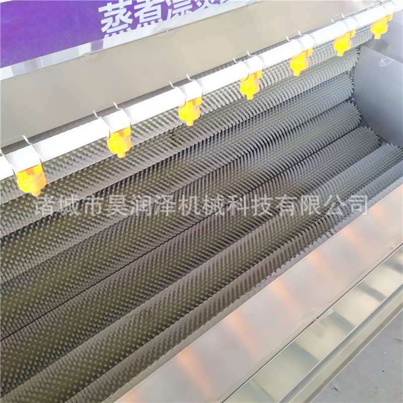 厂家销售 叶菜类气泡清洗机 根据产量定做 来电报价 质量保证图3