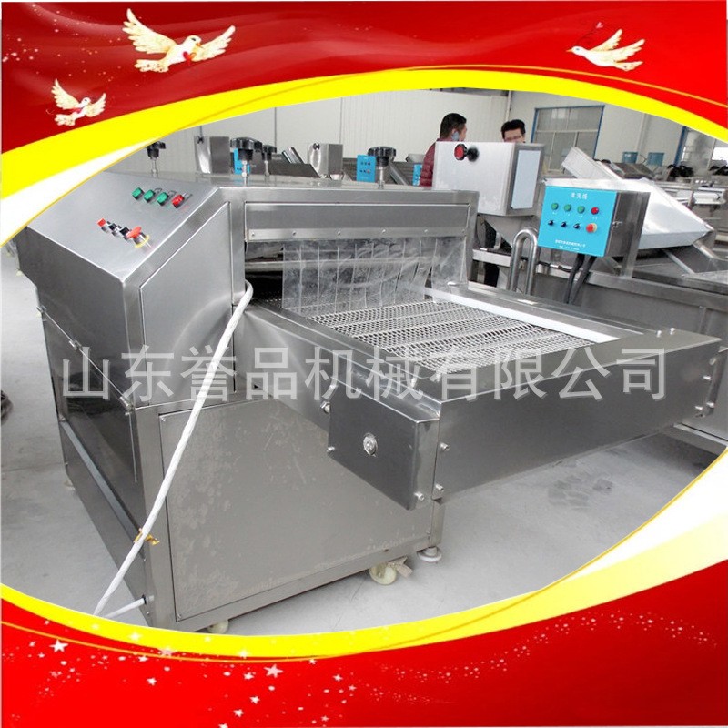 清洗香菇设备 全自动网带式高压喷淋可定 水果蔬菜清洗机 果蔬清图4