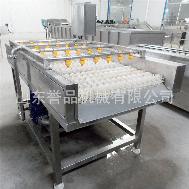 鱼类贝壳类气泡清洗机价格优惠 净菜加工设备 果蔬气泡喷淋清洗机图3