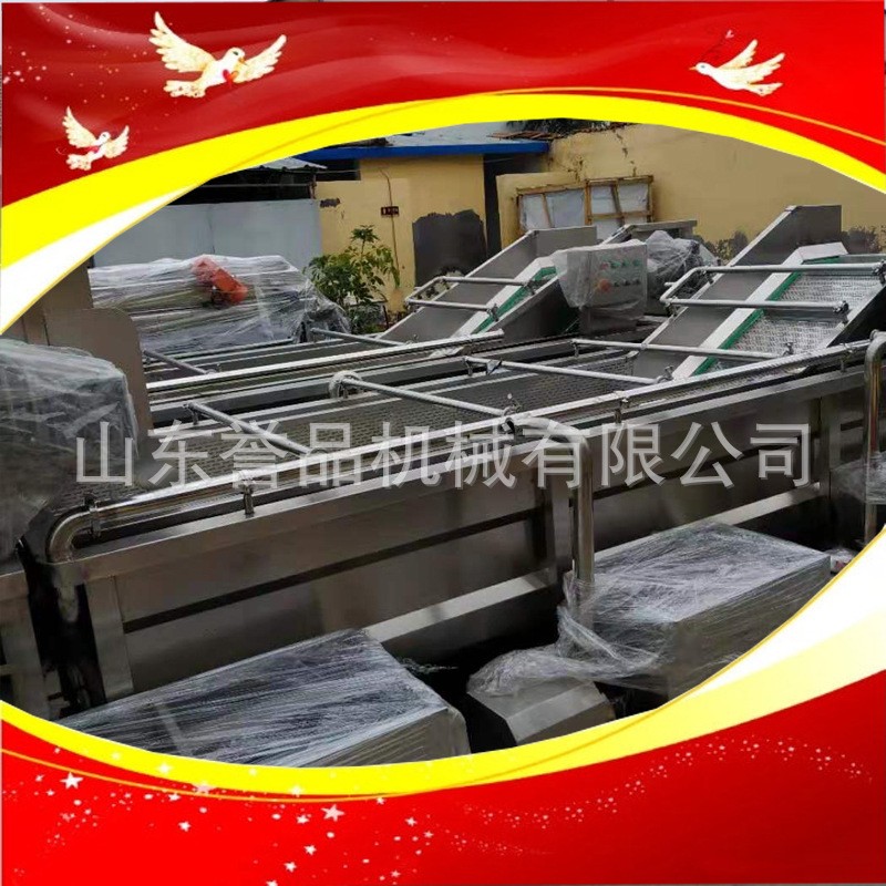 商用洗菜机 学校食堂果蔬气泡清洗设备 现货茼蒿小白菜气泡清洗机图3