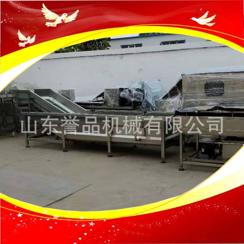 商用洗菜机 学校食堂果蔬气泡清洗设备 现货茼蒿小白菜气泡清洗机图4