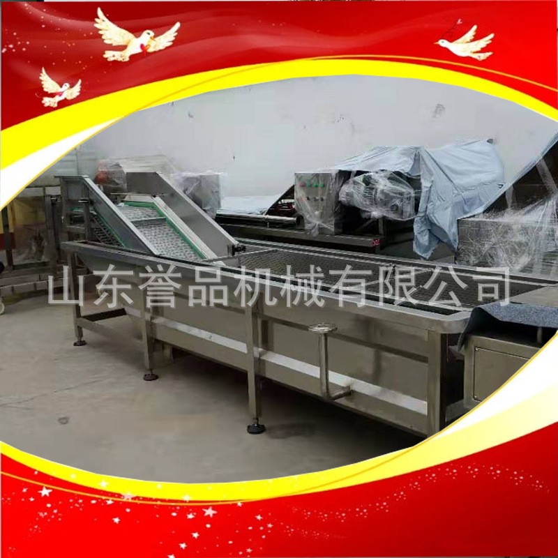 商用洗菜机 学校食堂果蔬气泡清洗设备 现货茼蒿小白菜气泡清洗机图2