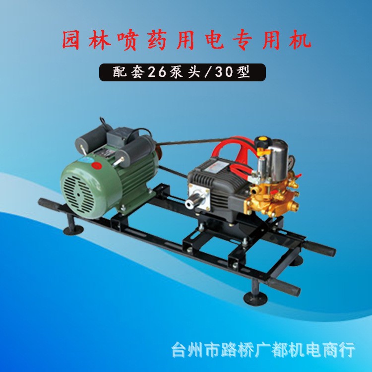 厂家推荐 电动式喷雾器 喷药机 担架式电机型园林高压打药机图5
