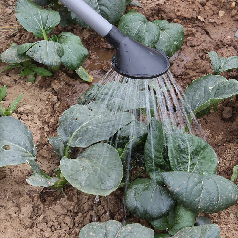 农用多功能蔬菜浇水施肥器 撒肥机 液体溜肥器 背负水肥一体机图2