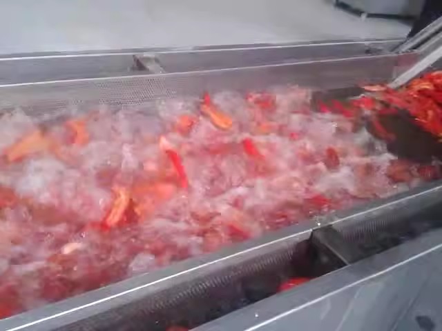 豆芽海带清洗机 全自动果蔬气泡清洗机 食堂餐厅用洗菜机设备图2