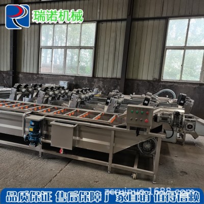 定制气泡清洗流水线 全自动气泡喷淋式果蔬清洗机 净菜加工设备