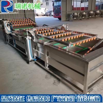 瑞诺生产全自动海产品喷淋式配套清洗流水线 果蔬气泡清洗机