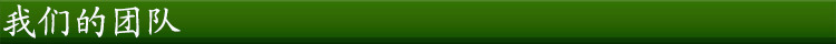 我们的团队