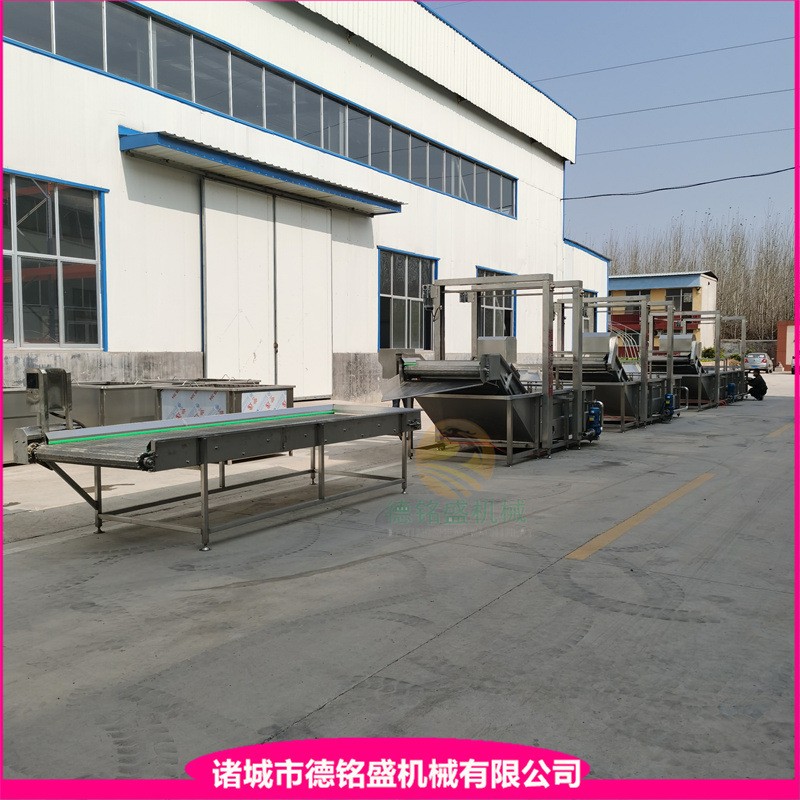 冬瓜丝清洗流水线 喷淋式土豆片漂烫清洗设备 红薯片气泡清洗机图4