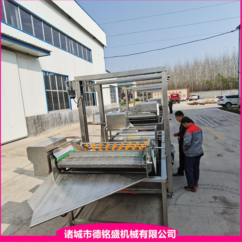 冬瓜丝清洗流水线 喷淋式土豆片漂烫清洗设备 红薯片气泡清洗机图3
