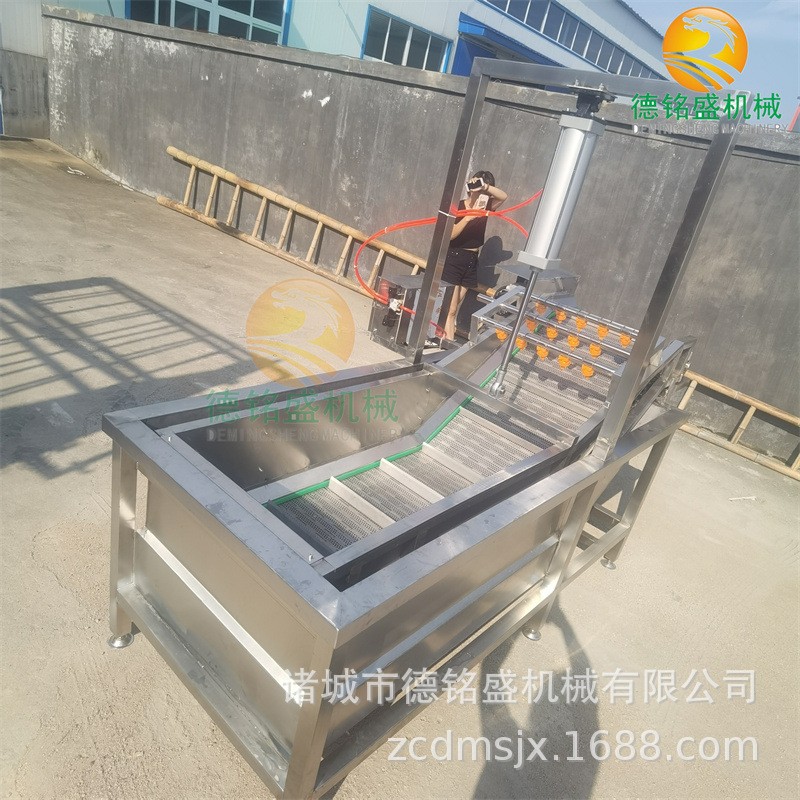 方便清洗的清洗猪皮丝设备 水浴鼓泡式不锈钢气泡清洗机图4