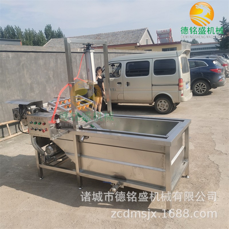 方便清洗的清洗猪皮丝设备 水浴鼓泡式不锈钢气泡清洗机图2