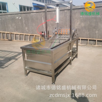 方便清洗的清洗猪皮丝设备 水浴鼓泡式不锈钢气泡清洗机