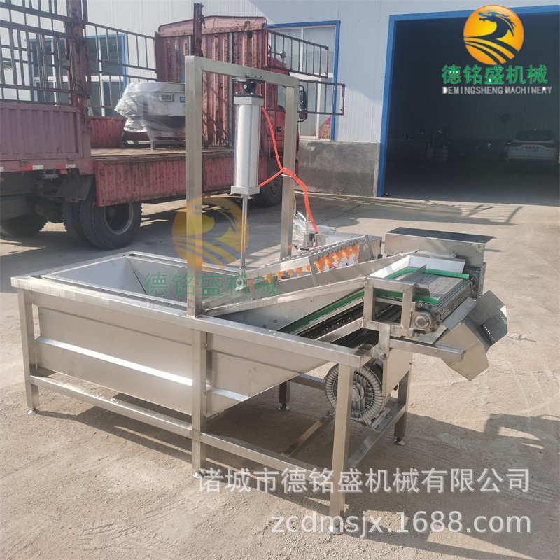 方便清洗的清洗猪皮丝设备 水浴鼓泡式不锈钢气泡清洗机图3