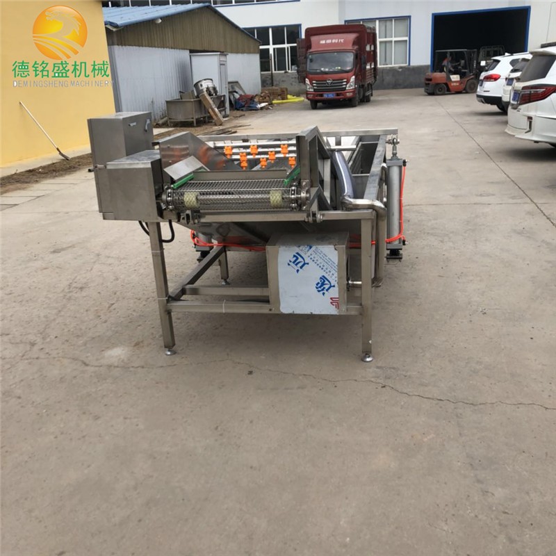 小型气泡式肉类清洗机 各种冷冻鸡爪解冻清洗机 气泡清洗去血渍机图3