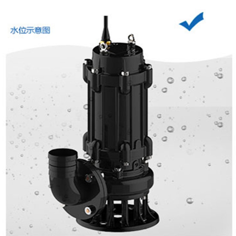 无堵塞潜水排污泵 高杨程工程潜水泵 大流量污泥化粪池抽粪 污水泵图3