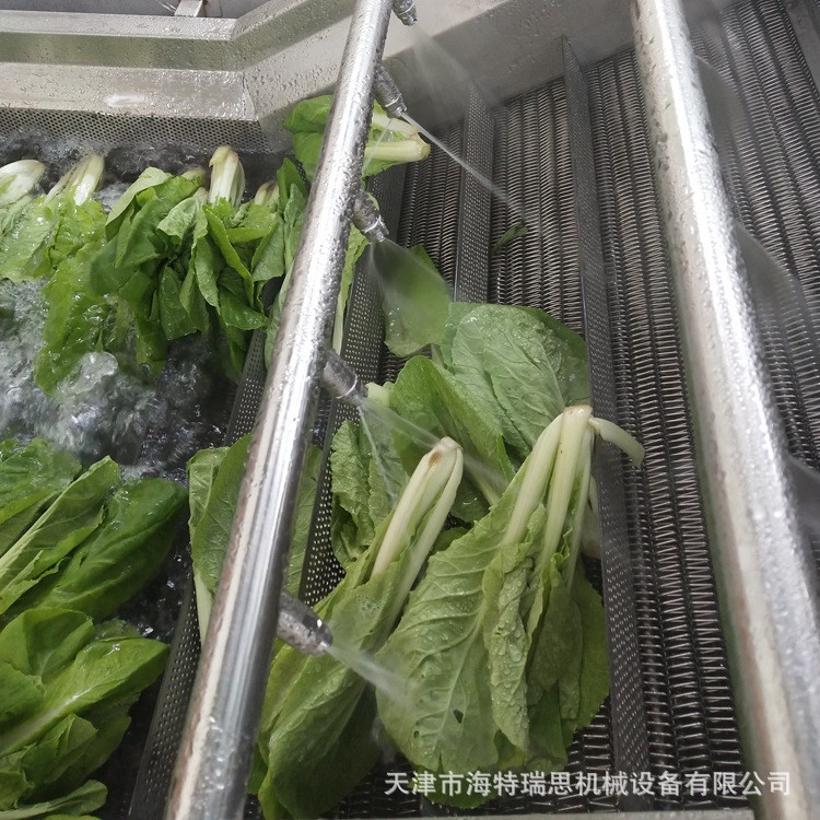 工厂用蓝莓气泡清洗机 树莓清洗机 果蔬气泡清洗机处理设备图4