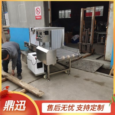 水果箱消毒机 隧道式冷链食品外包装消菌设备 鼎迅制造