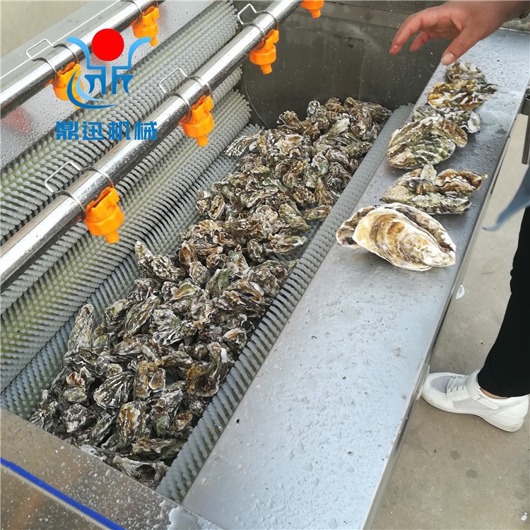 鼎迅毛辊清洗机 辊刷式半夏清洗机 山芋 毛芋 荸荠脱皮清洗设备图3