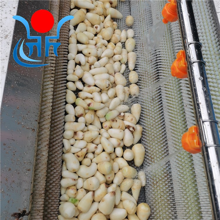 鼎迅毛辊清洗机 辊刷式半夏清洗机 山芋 毛芋 荸荠脱皮清洗设备图4