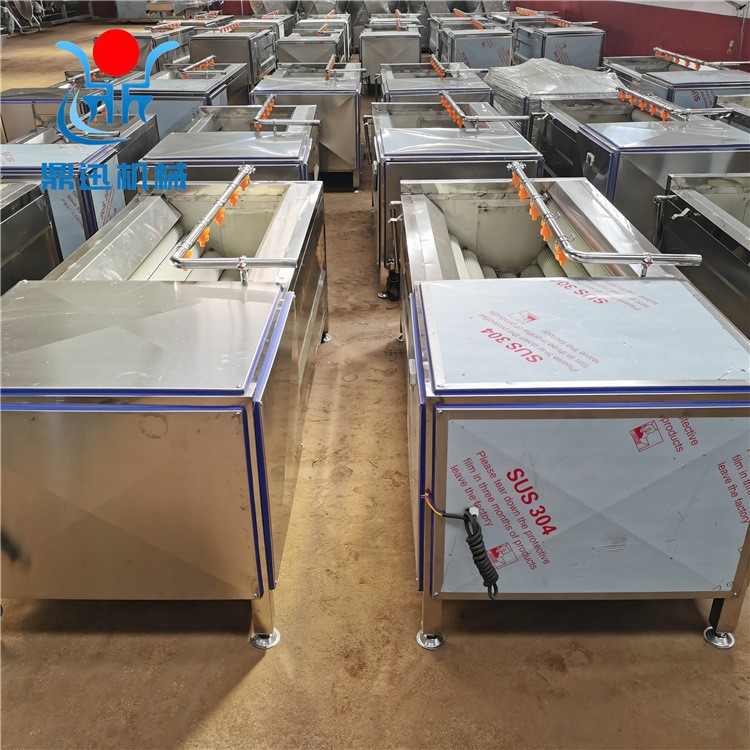 鼎迅毛辊清洗机 辊刷式半夏清洗机 山芋 毛芋 荸荠脱皮清洗设备图2