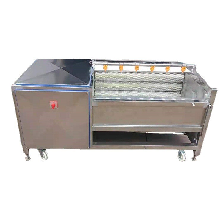 鼎迅毛辊清洗机 辊刷式半夏清洗机 山芋 毛芋 荸荠脱皮清洗设备图5