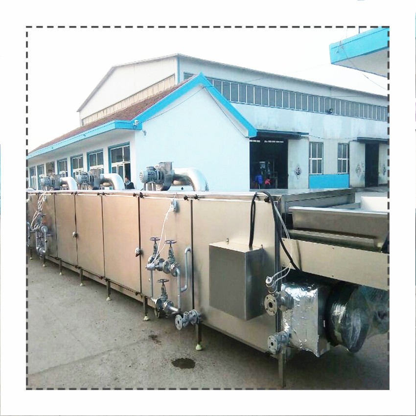 厂家生产果蔬清洗机 桑叶清洗机 大白菜辣椒气泡喷淋清洗机图2