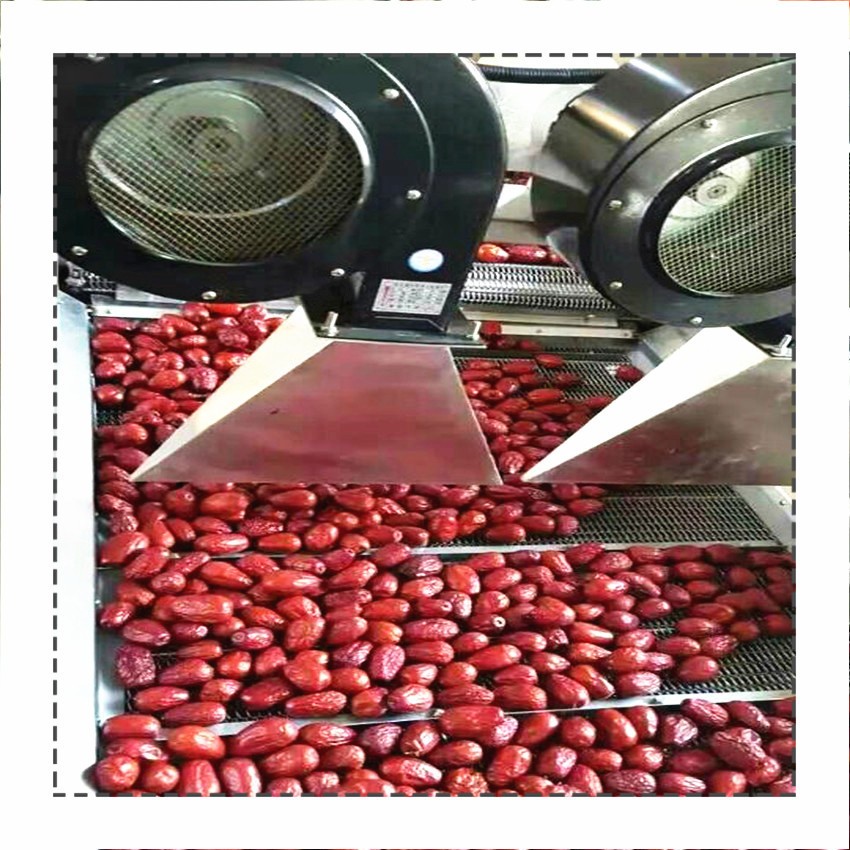 厂家生产果蔬清洗机 桑叶清洗机 大白菜辣椒气泡喷淋清洗机图3